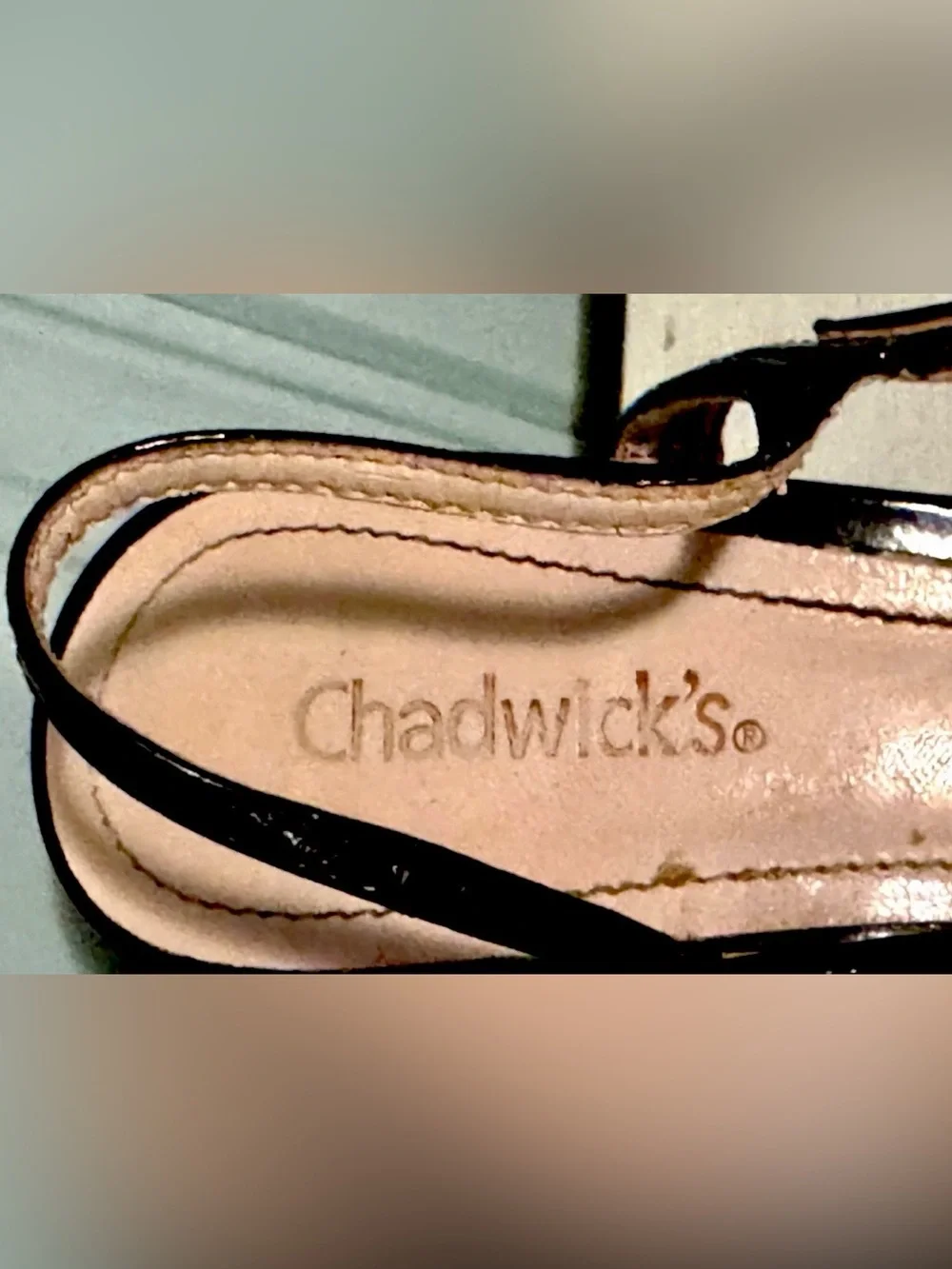 Chadwicks bundle 7️⃣